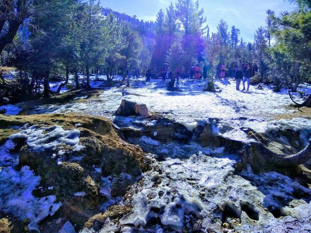 Shimla & Manali