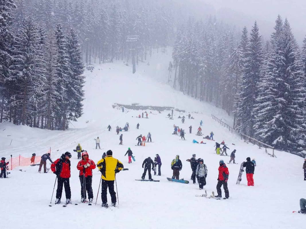 Shimla Student Tour