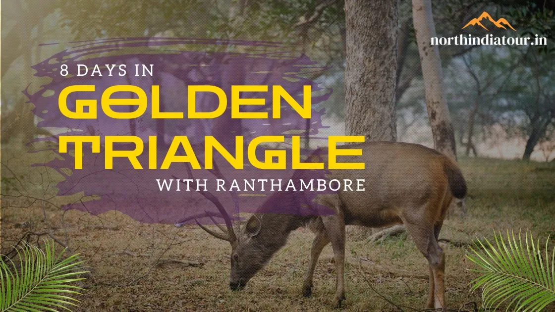 Golden Triangle Tour with Ranthambore | Golden Triangle Trip | 7 Days Golden Triangle Tour