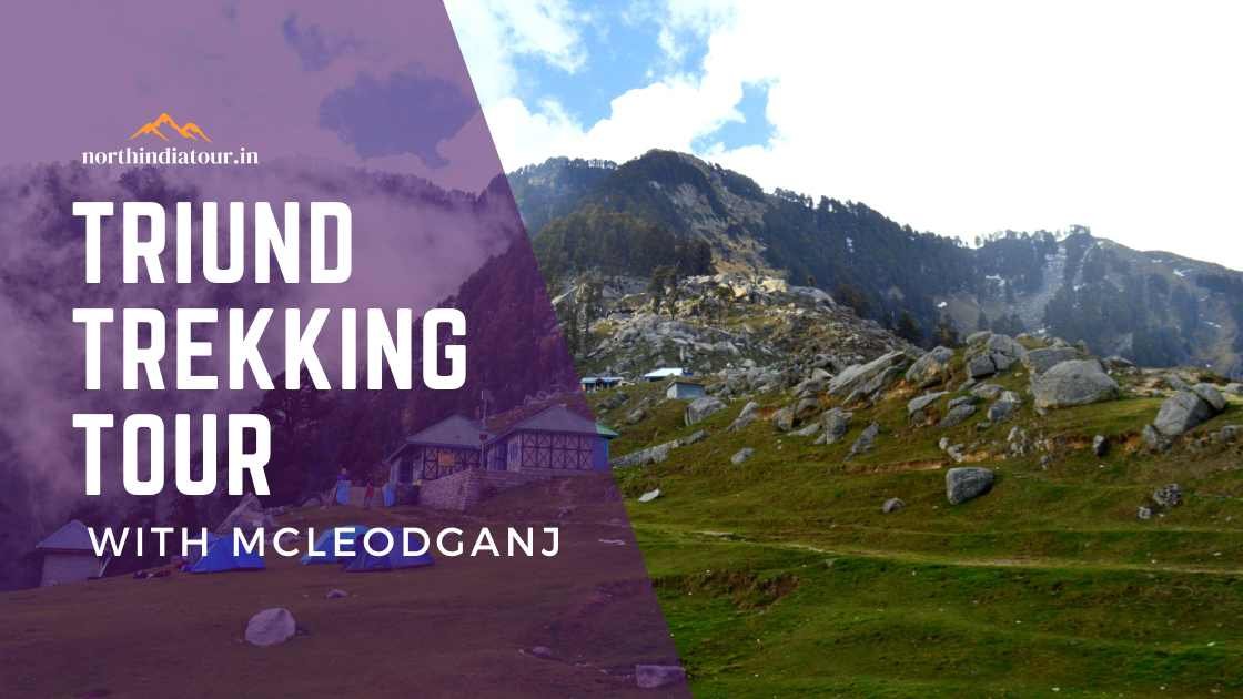 triund trekking tour from delhi, north india tour