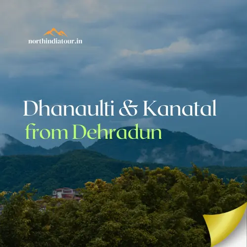 Dhanaulti & Kanatal Trip from Dehradun